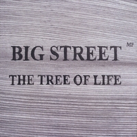 bigstreet08.jpg (45883 byte)