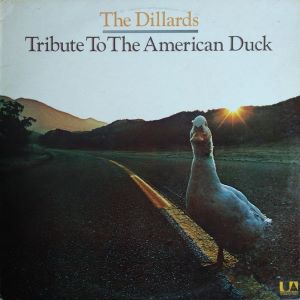 niteflyte79.gif (23003 byte)